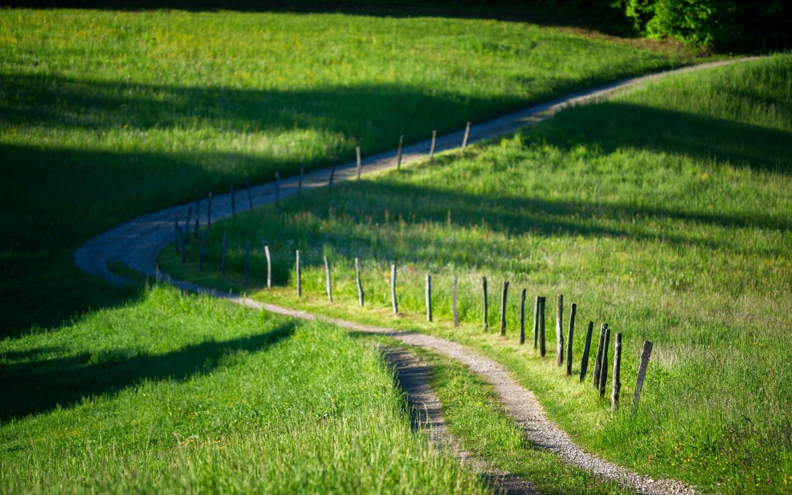 Un sentiero di ghiaia che curva tra prati verdi in una luce di mattina, con una staccionata di pali di legno